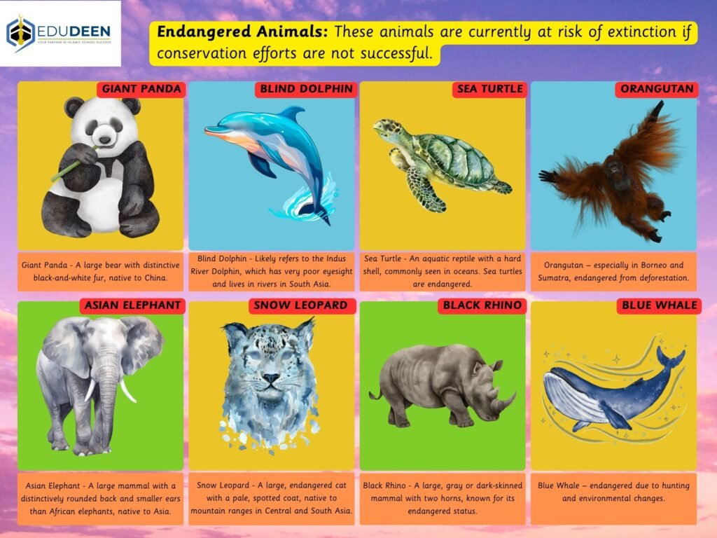 Endangered Animals