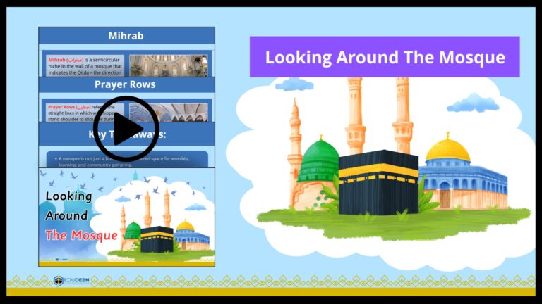 Looking Round The Mosque