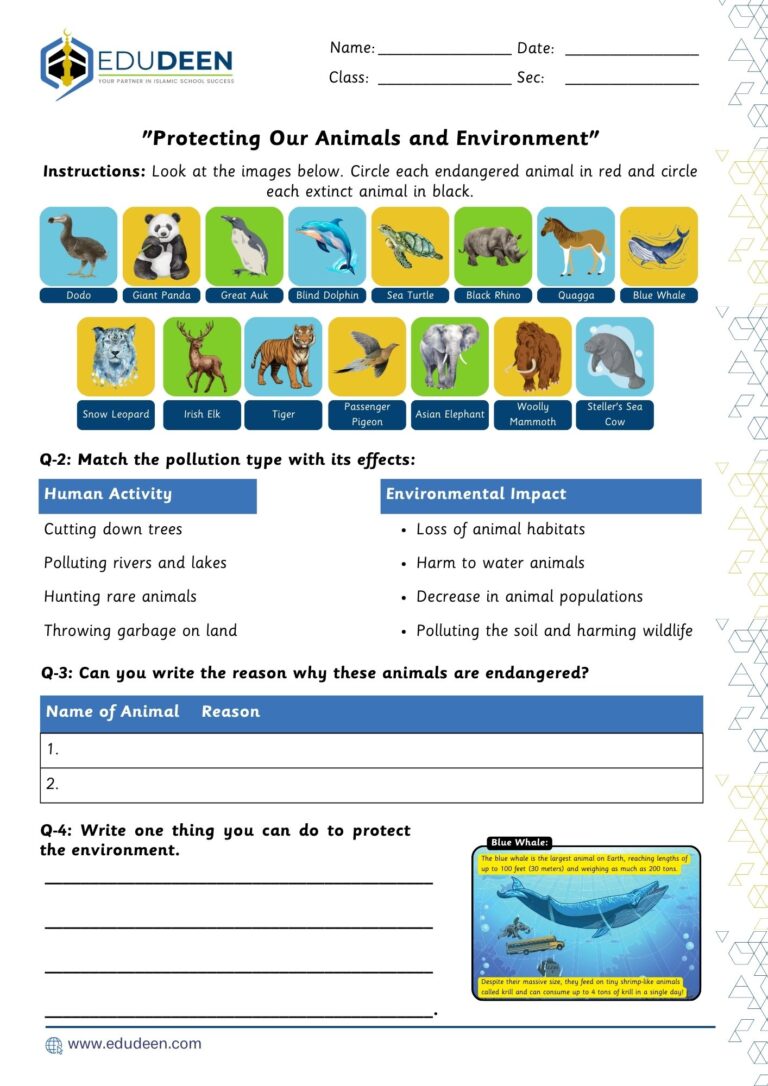 Protecting Our Animals and Environment