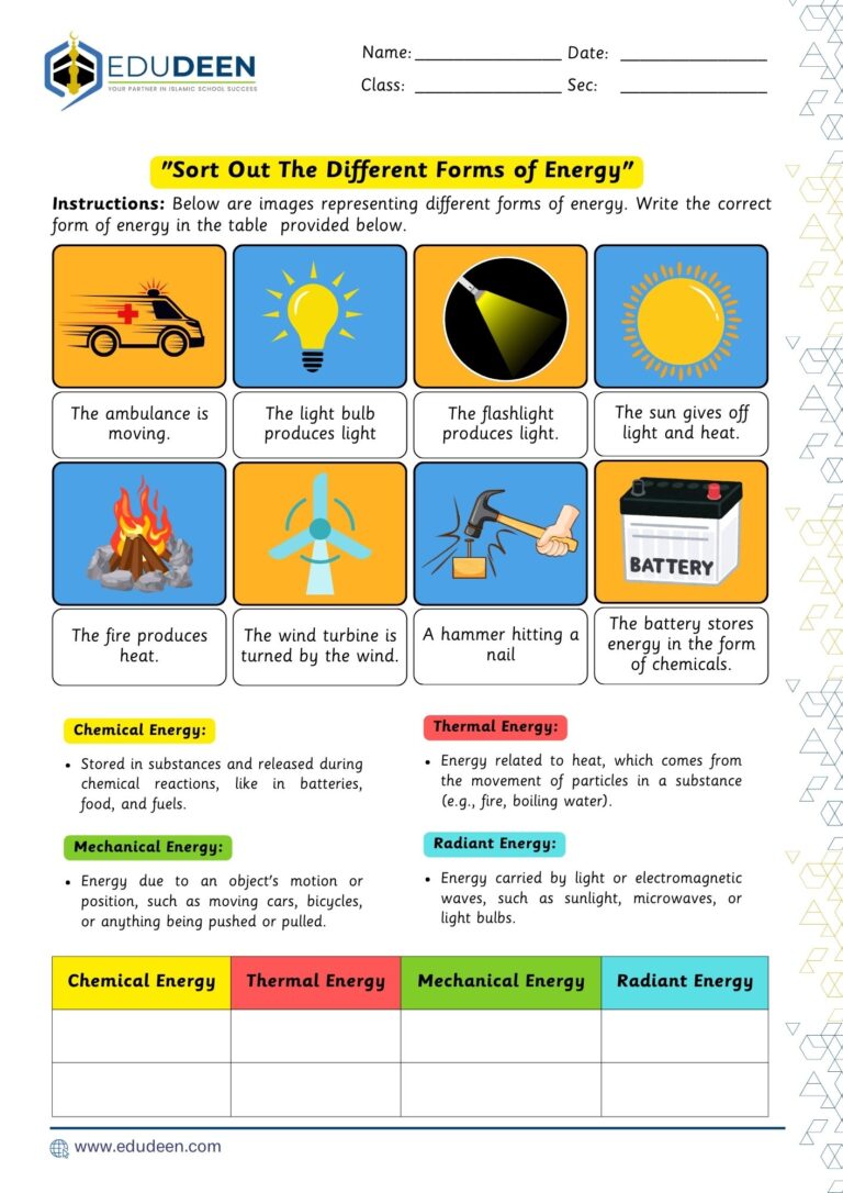 Sort Out the Different Forms of Energy