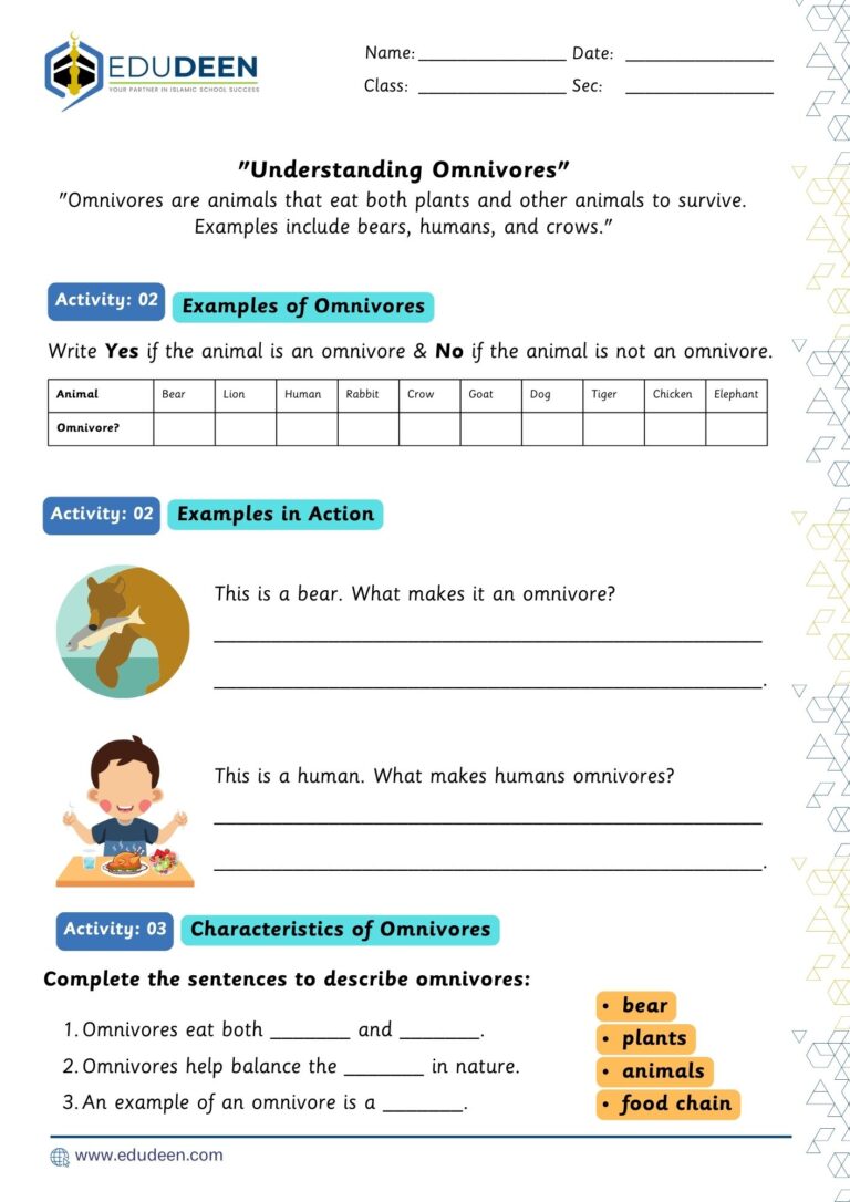 Understanding Omnivores